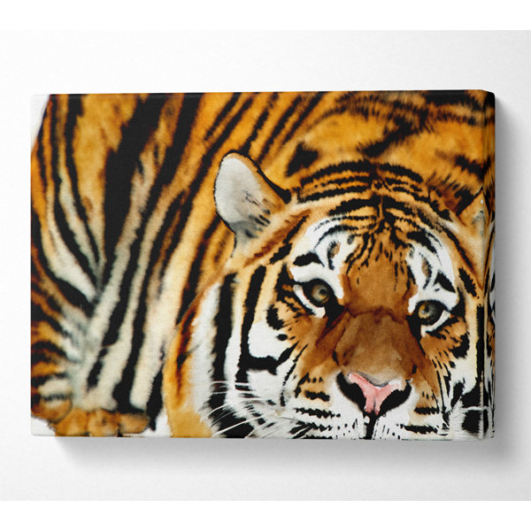 Boholiving Tiger Snow Nose Druck Wayfair De